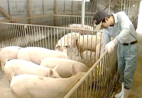 指定生産者