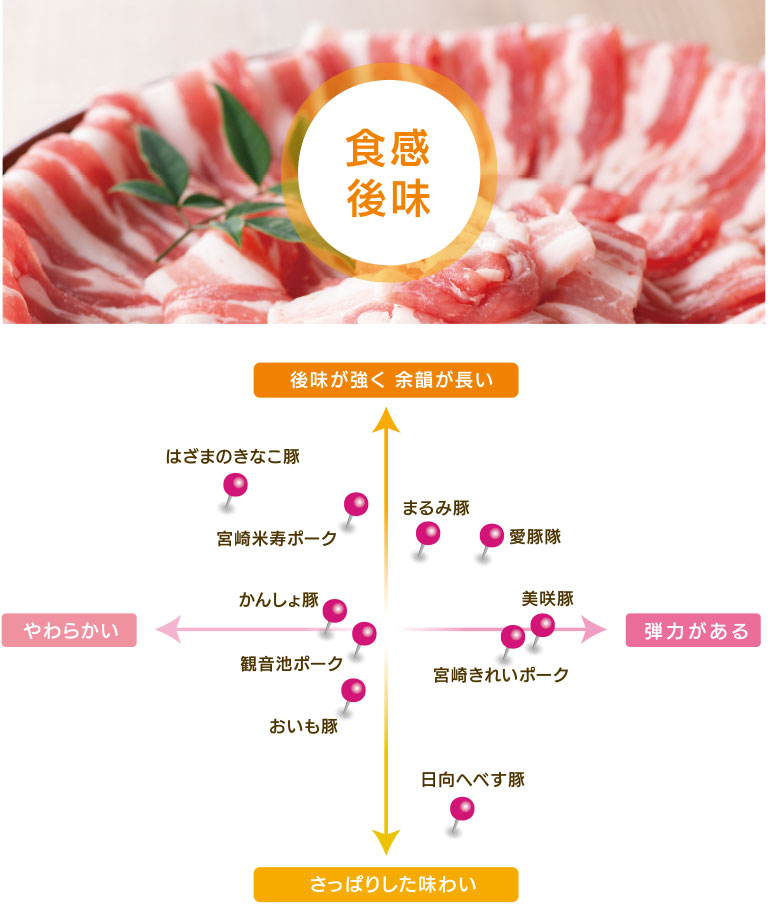 宮崎ブランドポーク認定「個別銘柄１０種」 特徴マップ