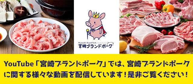 ミヤザキブランドポーク 特選国産豚肉 ブランド豚 豚 ぶたにく 送料無料 豚国産 領収書カレー 国内産 モモ切り落とし 約500g